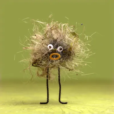 Dust Bud